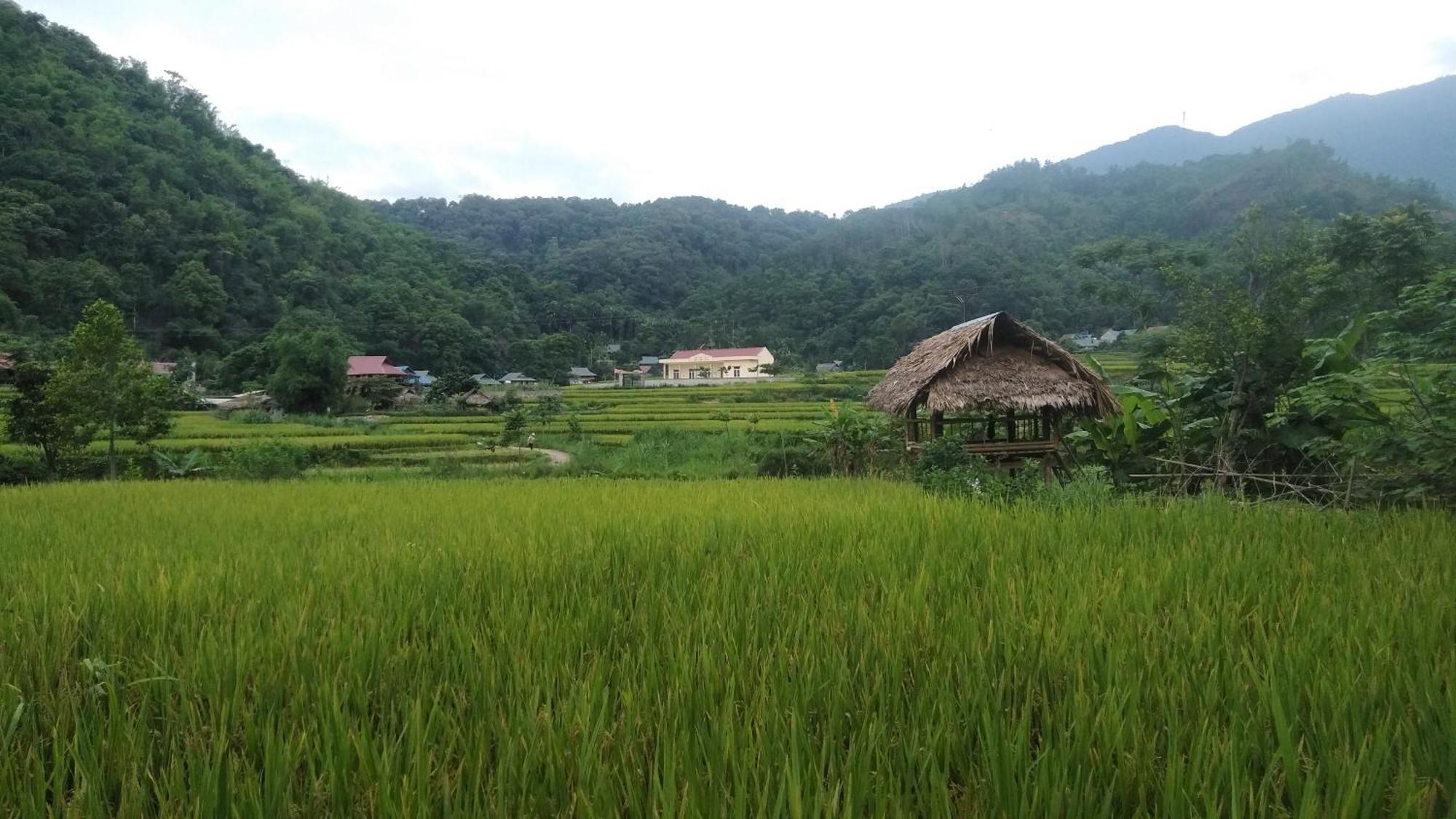 Bed and Breakfast Puluong Aroma Huong Ba Thuoc Exteriér fotografie