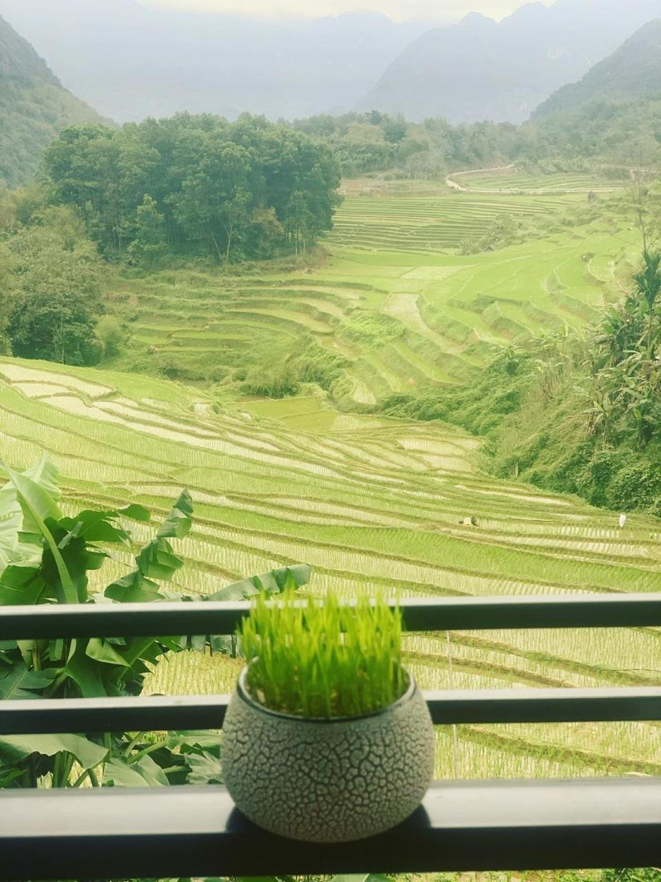 Bed and Breakfast Puluong Aroma Huong Ba Thuoc Exteriér fotografie